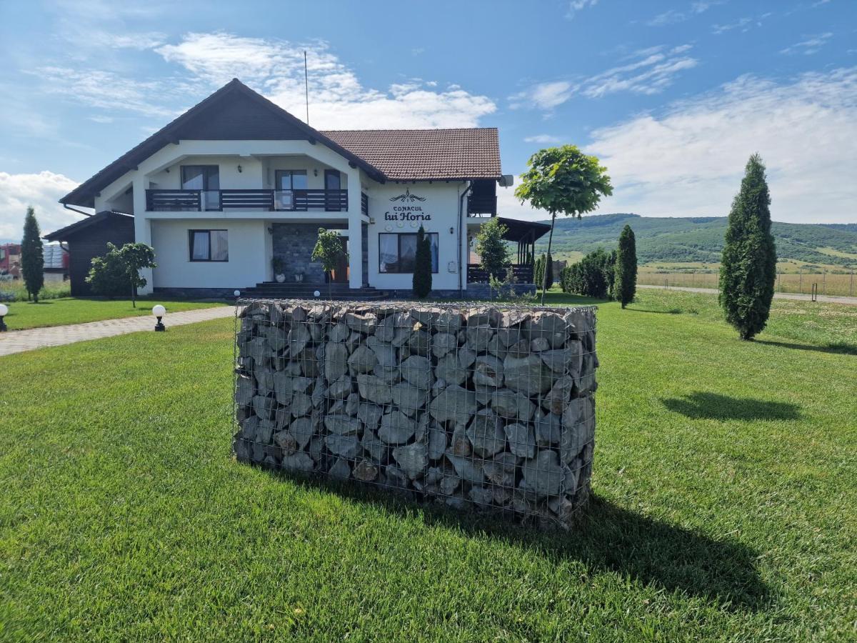 Pensiunea Conacul Lui Horia Bistriţa Exteriör bild